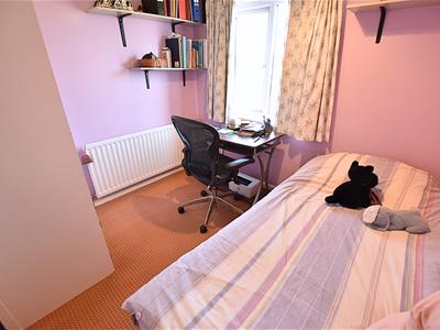 Picture 14